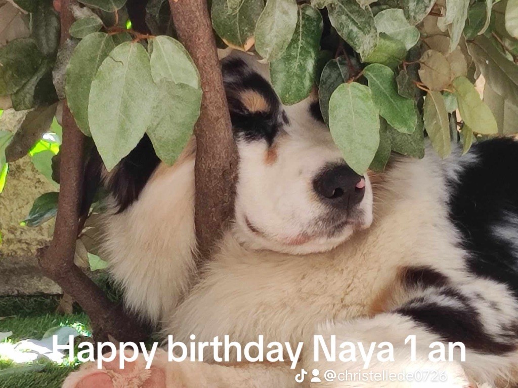 Unaya De La Tombée De La Nuit