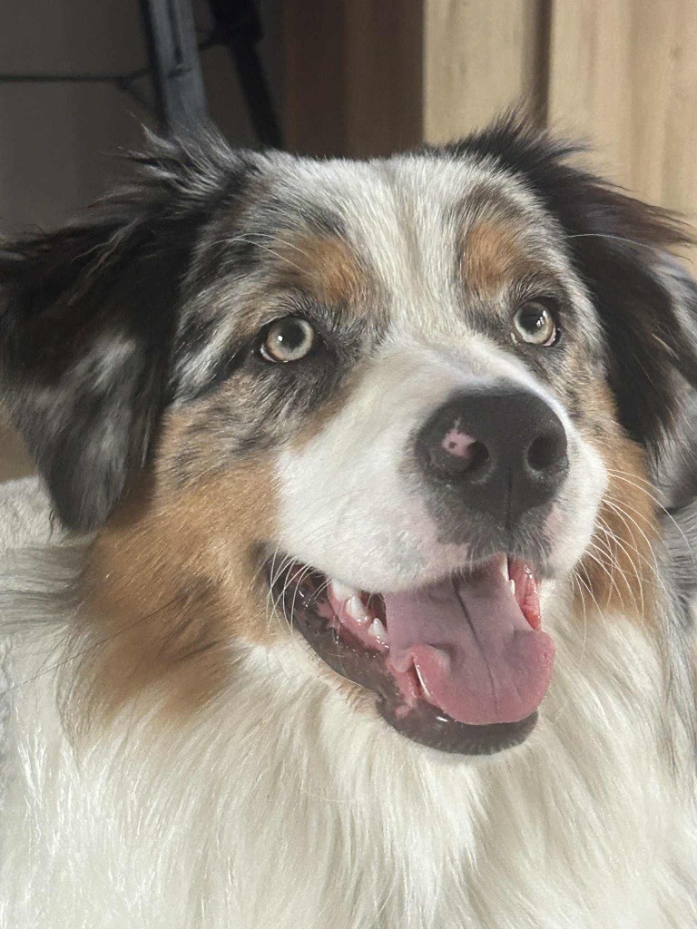 Umie De La Vallée De Quezacs